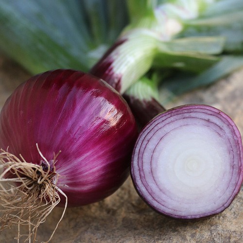 250 ruby red onion seeds - 250,